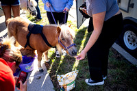 092623 MCOM Nursing 101 class (and others) with minature horses